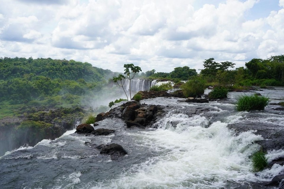 The stunning spectacle of the Iguazú Falls enveloped in the early morning mist