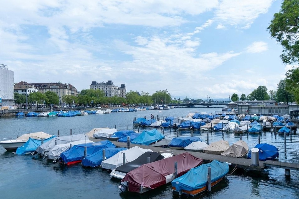 A lively summer scene on Lake Zurich